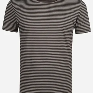 T-shirt basic SPICE grå randig