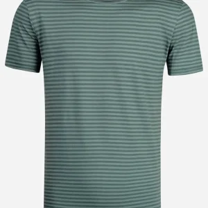 T-shirt basic SPICE grön randig